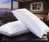 Anti- Apnea-Gänsefeder und Pillows unten Hypoallergenic
